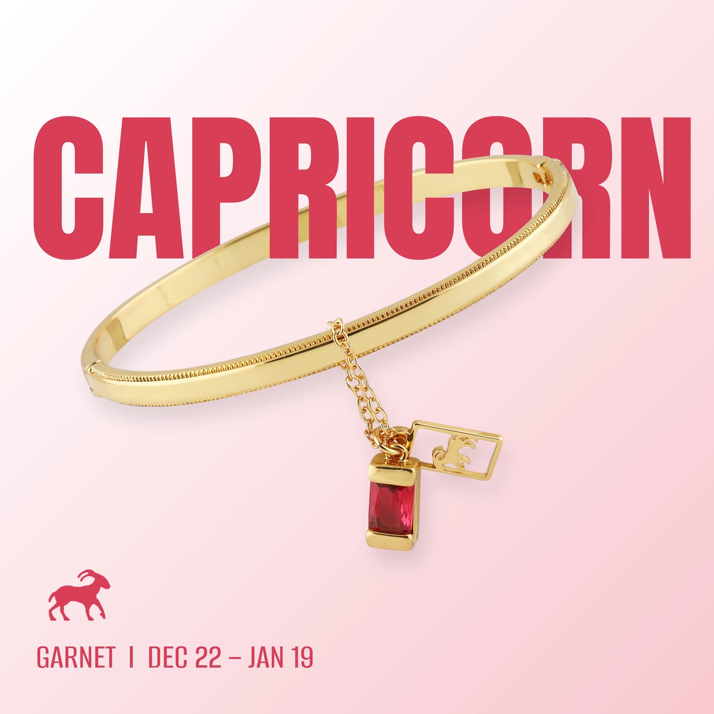 Capricorn Bangle | 22nd December to 19th January